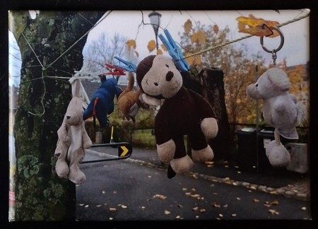 Kosedyr til tørk - 76 x 53 mm kjøleskapsmagnet