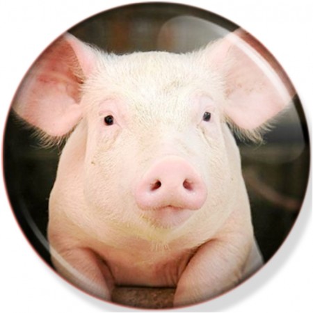 Grisunge - 32 mm button